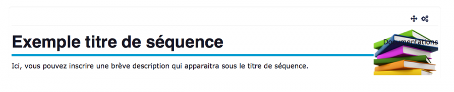 modcustomlabelssequenceheading_rendu.png modcustomlabelssequenceheading_rendu.png